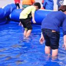 예당목장 이미지