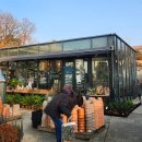 봄에 만나는 힐링 칼림바 | 기흥 지앤아트스페이스 &amp;하이드파크 방문 후기 한겨울에 미리 만나는 식물 식집사 핫플