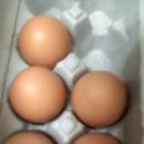 자연김밥 이미지