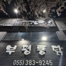 평산남로 | 양산 평산동 부평통닭 솔직 후기,늦은 시간 치맥 가능한 야식 맛집