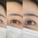 유담속눈썹후기