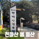 울산 쉬운 등산로 천마산 편백산림욕장 지나서 정상까지