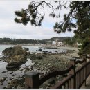 다무포간이해수욕장 이미지