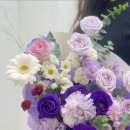 플로위드 이미지