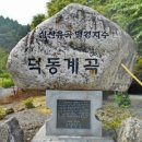 제41차(7)정기산행 제천 원주 십자봉 백운산 덕동계곡 이미지