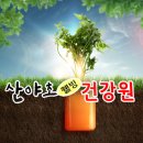 산야초웰빙건강원 - 노원구 상계로26길 14 | 산야초웰빙건강원