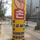 현대셀프세차타운 이미지