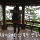 벌떼쉼터