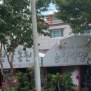 동림꽃농원 이미지