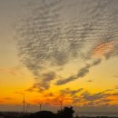 풍차와노을 이미지