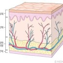 키프러스안마원 이미지
