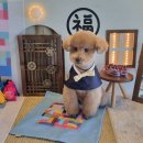 거창 우리집 이미지