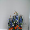 늘푸른공간 이미지