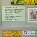 육교식당 | 태안 안면도 굴요리 맛집 "육교식당" 내돈내산 솔직 후기 (feat. 직접 재배한 농산물)