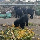 김도균동물병원 이미지