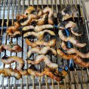 개미회관 | 정선 사북 장어 맛집 개미회관 장어구이 솔직후기 주차정보