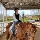 홀스마스터즈 승마클럽 이미지
