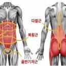 몸의중심