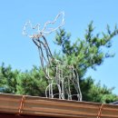 오케이사슴목장 이미지