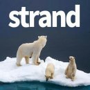 스트랜딩(옮짝달싹못함, Stranding) 이미지