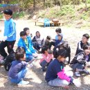 용인대백호체육관 Daum카페