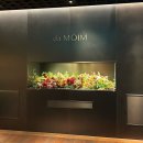 509한식뷔페 | 아난티 앳 부산 코브 다모임 뷔페 런치｜가격·메뉴 총정리