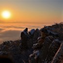 지행이네 이미지