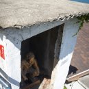 복사꽃어린이공원화장실 이미지