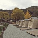 돌담농장 이미지