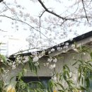 호남이발관 이미지