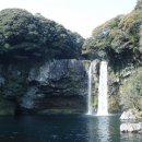 천지연폭포 이미지