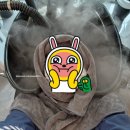 헤어시보