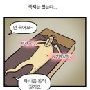 여의도싸비체육관 | 🔥여의도싸비체육관🔥 여자 운동 추천