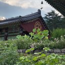 연곡면사무소(버스정류장) 이미지