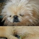 생명의집 이미지