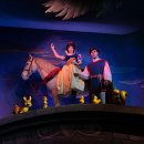 PAWS N PAWS(포즈앤포즈) | 프랑스 파리 디즈니 오픈런/패스트트랙/퍼레이드/불꽃놀이 (feat. 신혼여행)