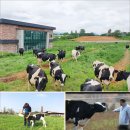 연성목장 이미지