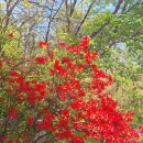 참살이힐링 펜션 이미지