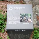 국사골