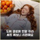 나의클로에 | [도씨] 클로에 반팔 카라 세트 써보니 시원해요
