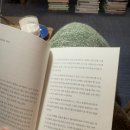 블루도어북스 네이버블로그