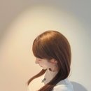 조에룸 이미지