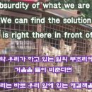 천마리농장 이미지