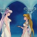 SNIFF(스니프) 이미지