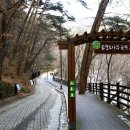 역삼-1288 이미지