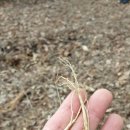 봉평농장 이미지