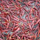 큰솔농장 이미지