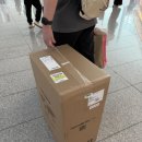 건지미길 | 대한항공 게이트백 방법 : 온라인면세점 캐리어 구매 샘소나이트 토이즈 캐리어 확장형 25인치