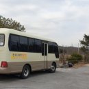 청와오리 이미지