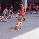 마루어린이집 이미지